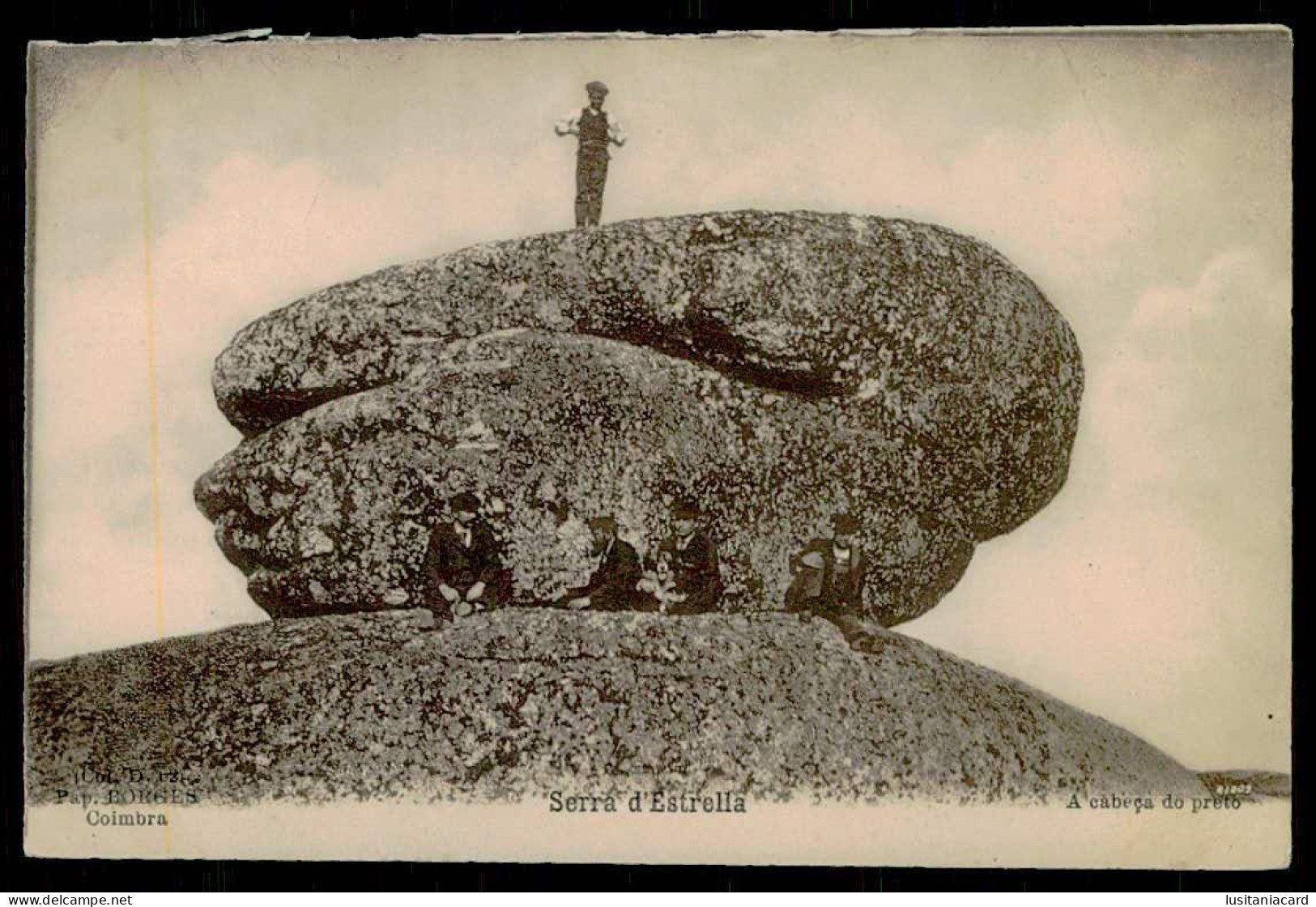 SERRA DA ESTRELA - Serra D'Estrella - A Cabeça Do Preto ( Ed. Pap. Borges Col D 62 ) Carte Postale - Guarda