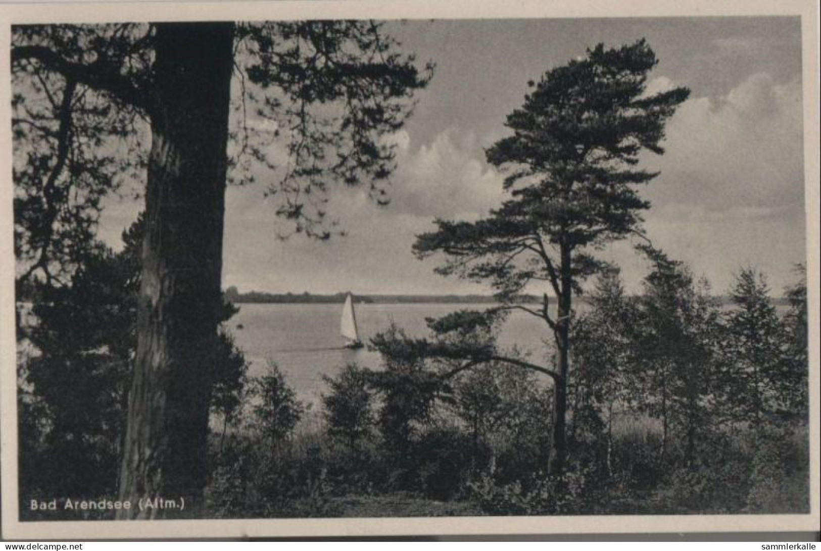 41200 - Bad Arendsee - Ca. 1950 - Salzwedel