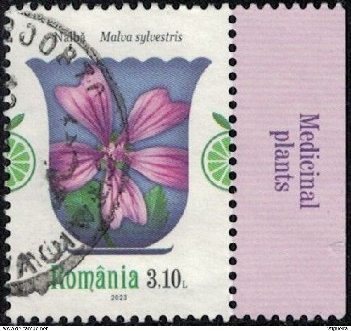 Roumanie 2023 Oblitéré Used Plantes Médicinales Malva Sylvestris Grande Mauve Y&T RO 6964 SU - Usati