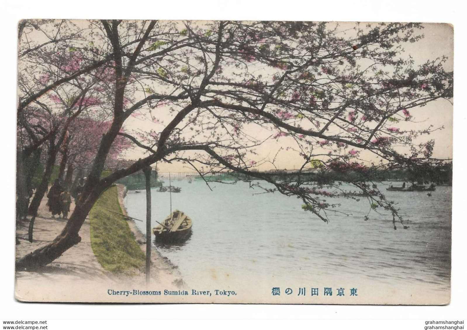 Postcard Japan Tokyo Cheery Blossoms On Sumida River Boat Flowers Unposted - Tokyo