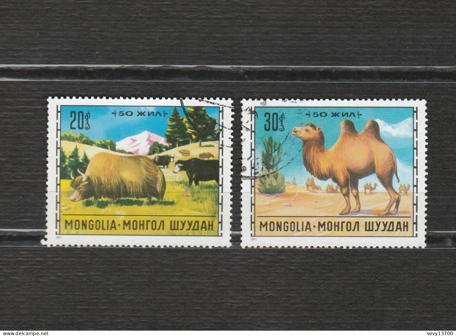 Mongolie - Lot 12 Timbres - Les Chevaux, Chameau, Yack, Chèvres, Yack Et Troupeaux, élevage - Mongolia