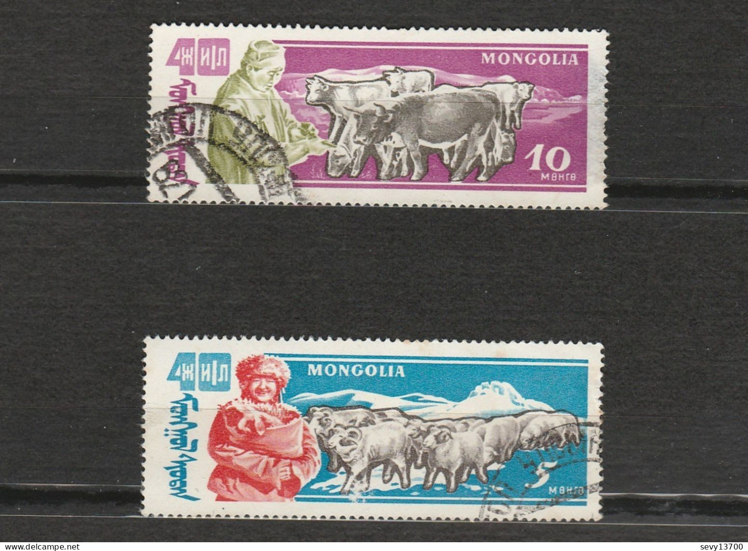 Mongolie - Lot 12 Timbres - Les Chevaux, Chameau, Yack, Chèvres, Yack Et Troupeaux, élevage - Mongolie