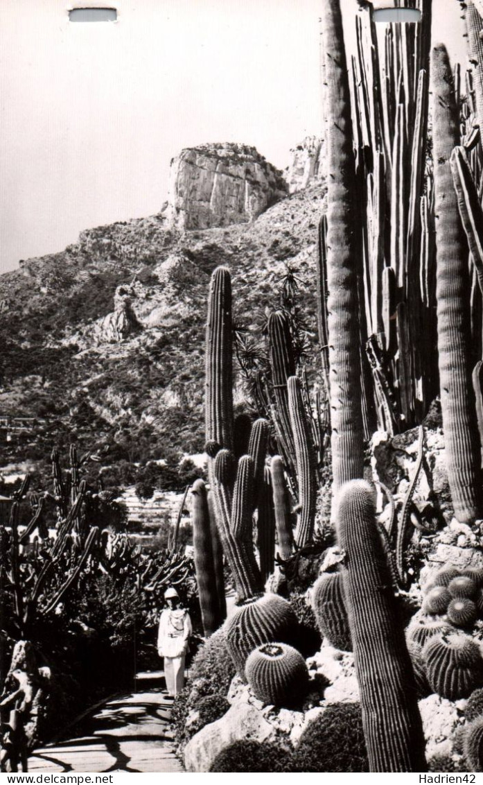 RECTO/VERSO - CPA - MONACO - JARDINS EXOTIQUES - PERSONNAGE AVEC CASQUE - CARABINIER LE PRINCE SOUVERAIN - Exotische Tuin