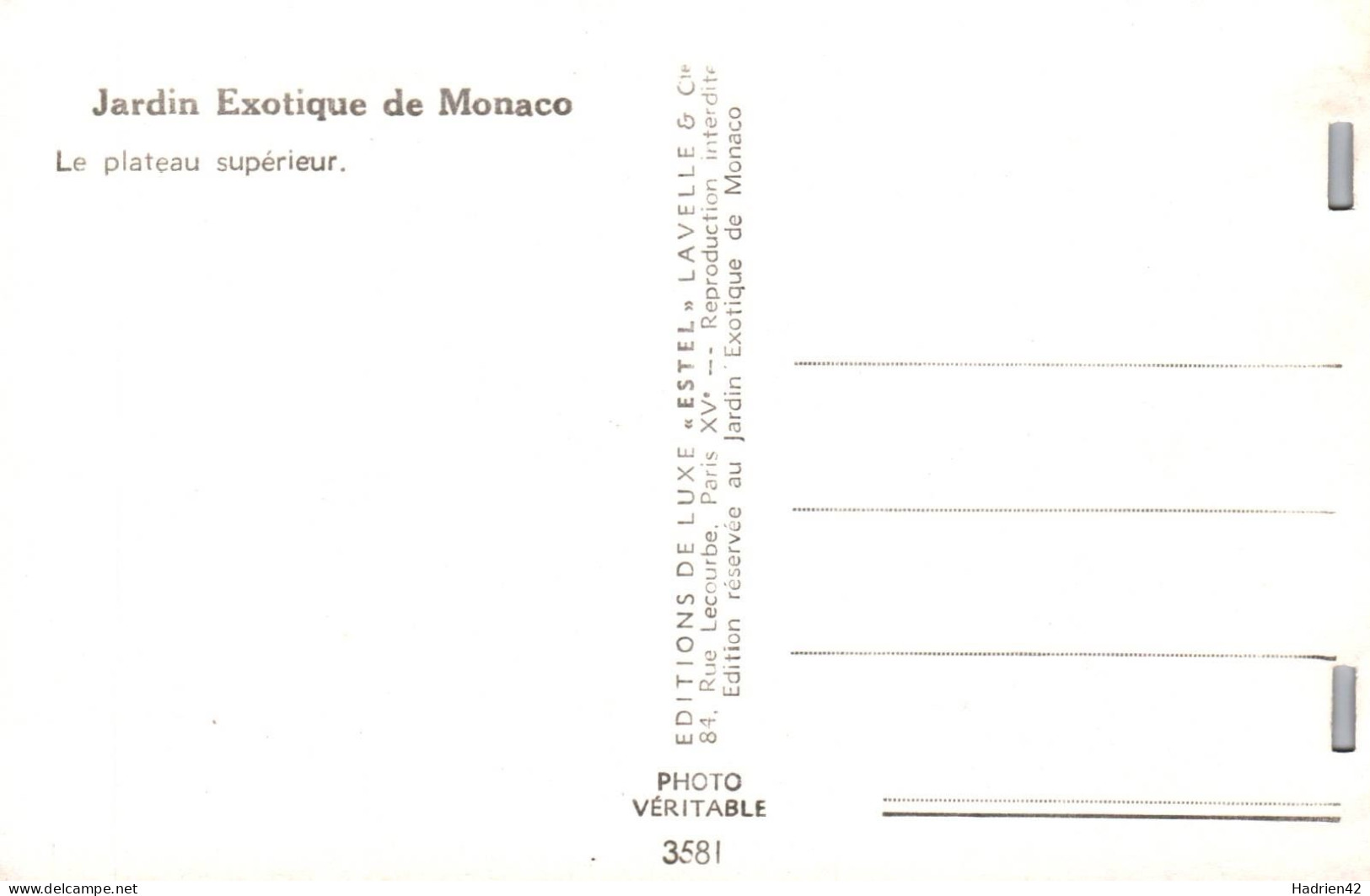 RECTO/VERSO - CPA - MONACO - JARDINS EXOTIQUES - LE PLATEAU SUPERIEUR - Exotic Garden