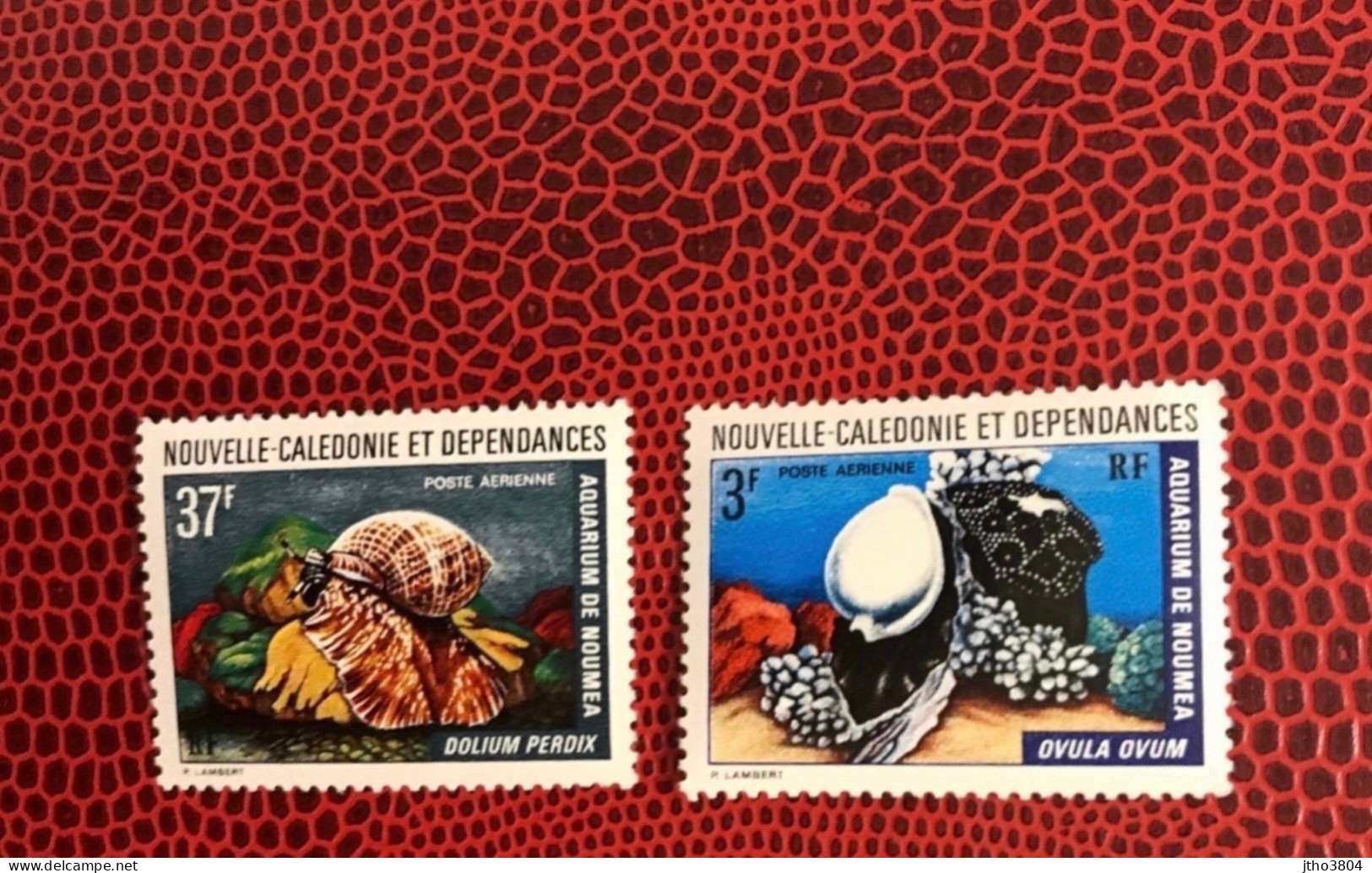 NOUVELLE CALEDONIE 1974 2v Neuf MNH ** YT 150 152 Mi Conchas Shells Muscheln Conchoglie CALEDONIA - Conchas