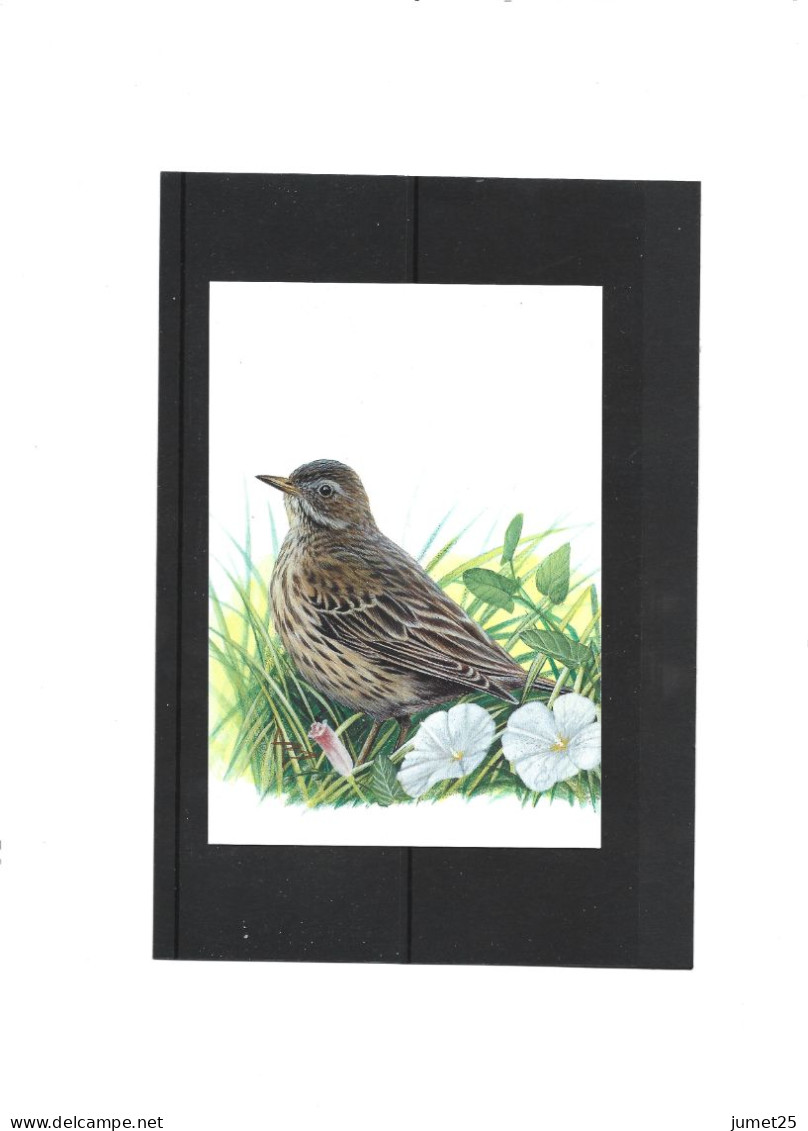 Buzin 2920 Pipit Farlouse - 1985-.. Oiseaux (Buzin)