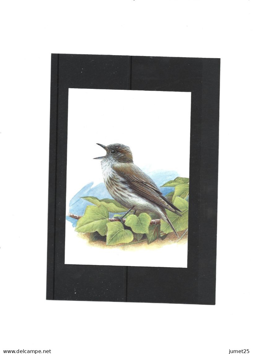 Buzin 3265 Gobemouche Gris - 1985-.. Vogels (Buzin)