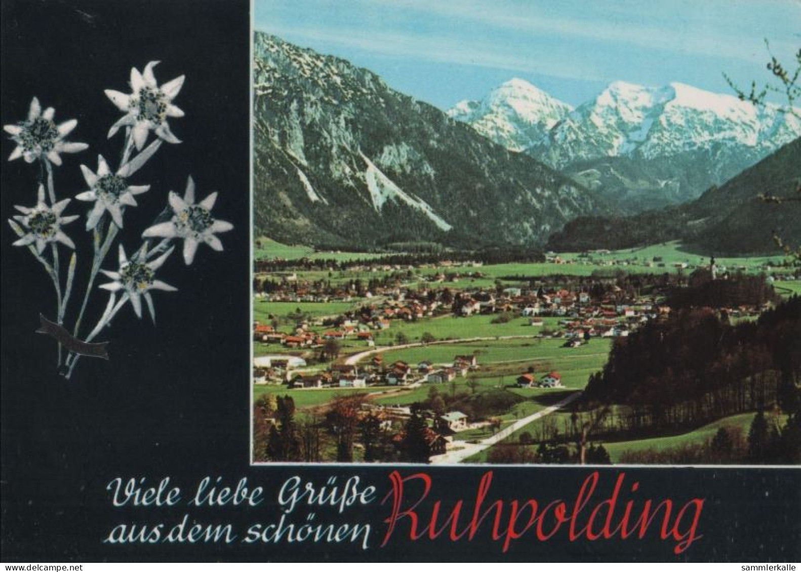 119555 - Ruhpolding - Panorama - Ruhpolding
