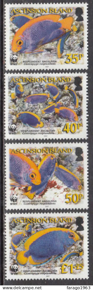 2007 Ascension WWF Angelfish Fish  Complete Set Of 4 MNH - Ascension (Ile De L')