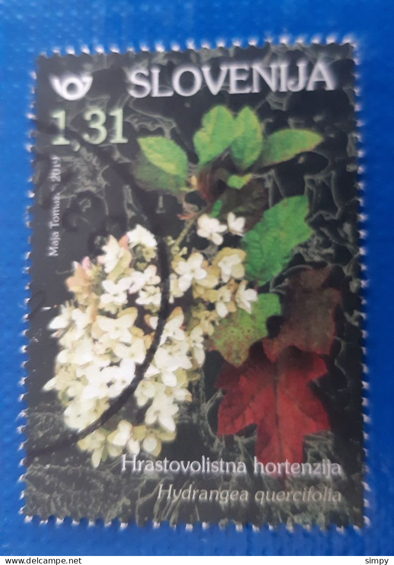 SLOVENIA 2019 Flowers Used Stamp - Eslovenia