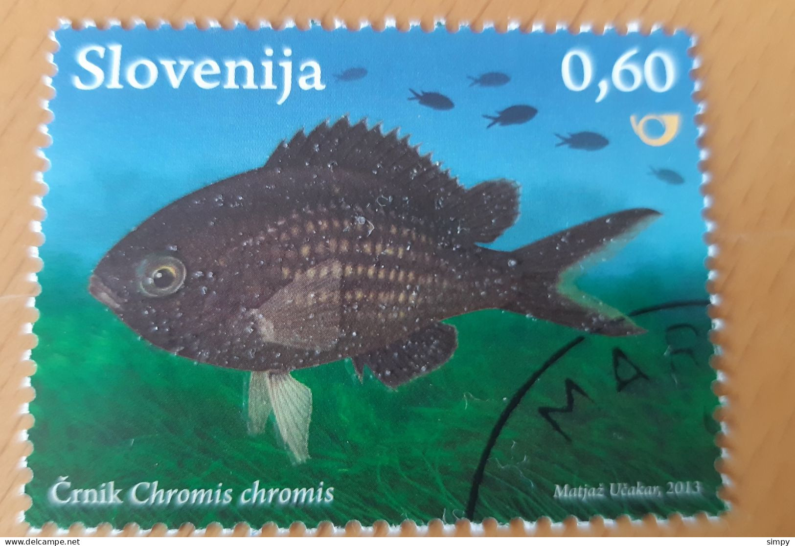 SLOVENIA 2013  Fish Used Stamp - Eslovenia