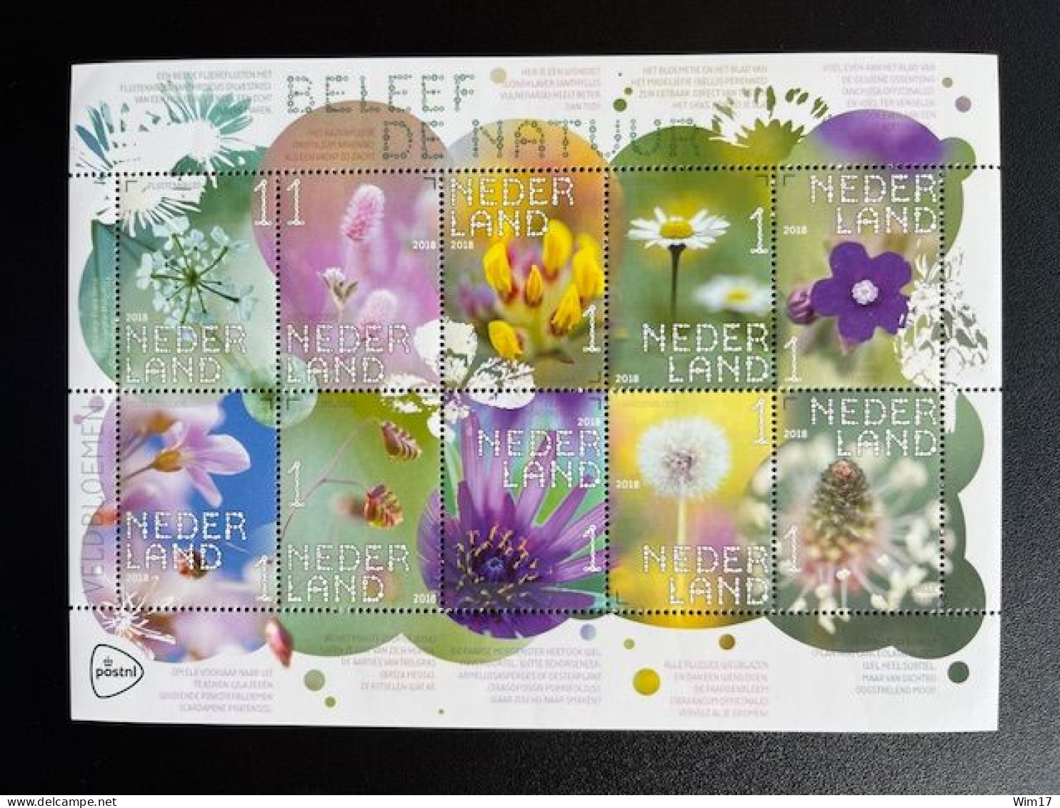 NETHERLANDS 2018 FLOWERS SHEET OF 10 STAMPS MNH 04-06-2018 NEDERLAND BLOEMEN NVPH 3632/3641 - Covers & Documents