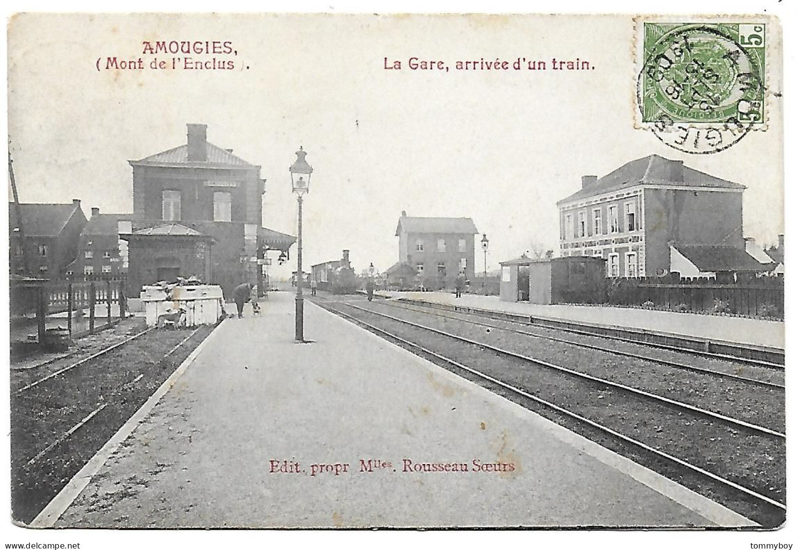 CPA Amougies, La Gare, Arrivée D'un Train - Mont-de-l'Enclus