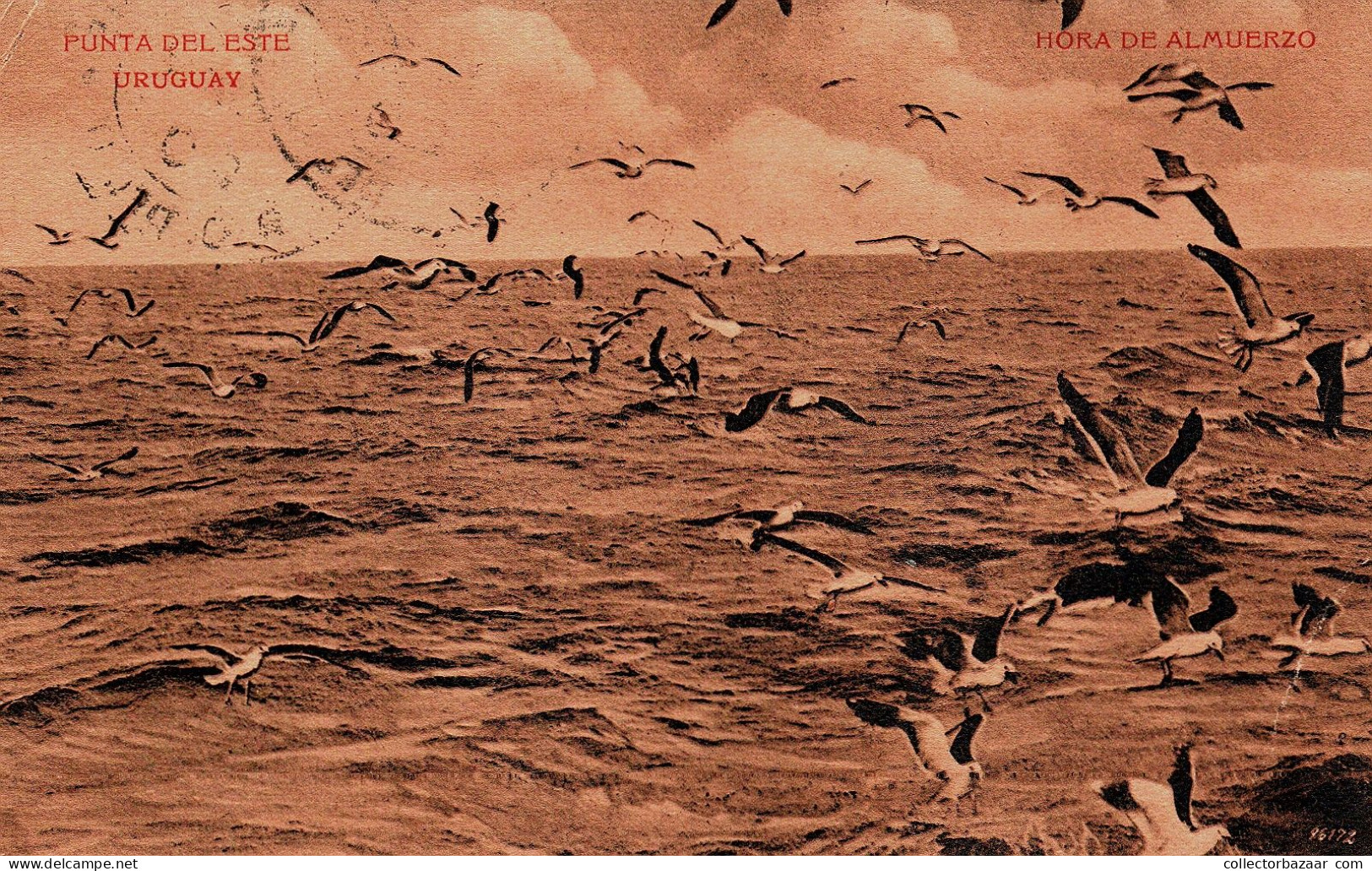 Uruguay Punta Del Este Vintage Original Jesus Cubela Postcard Ca 1900 Sea Birds - Uruguay