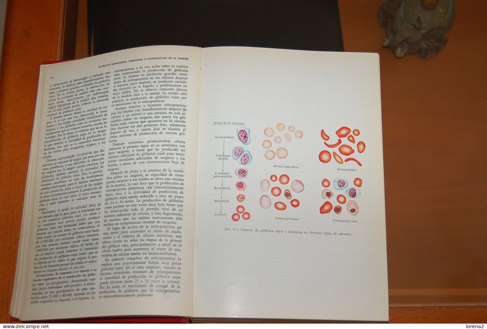 Libro Tratado De Fisiología Médica. 27-480 - Otros & Sin Clasificación