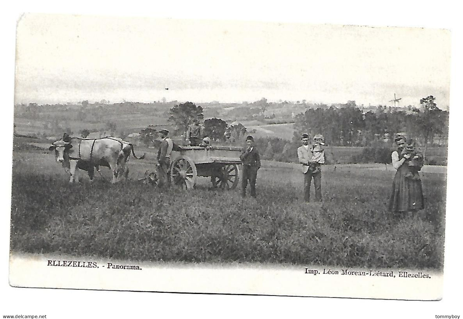 CPA Ellezelles  - Panorama - Ellezelles