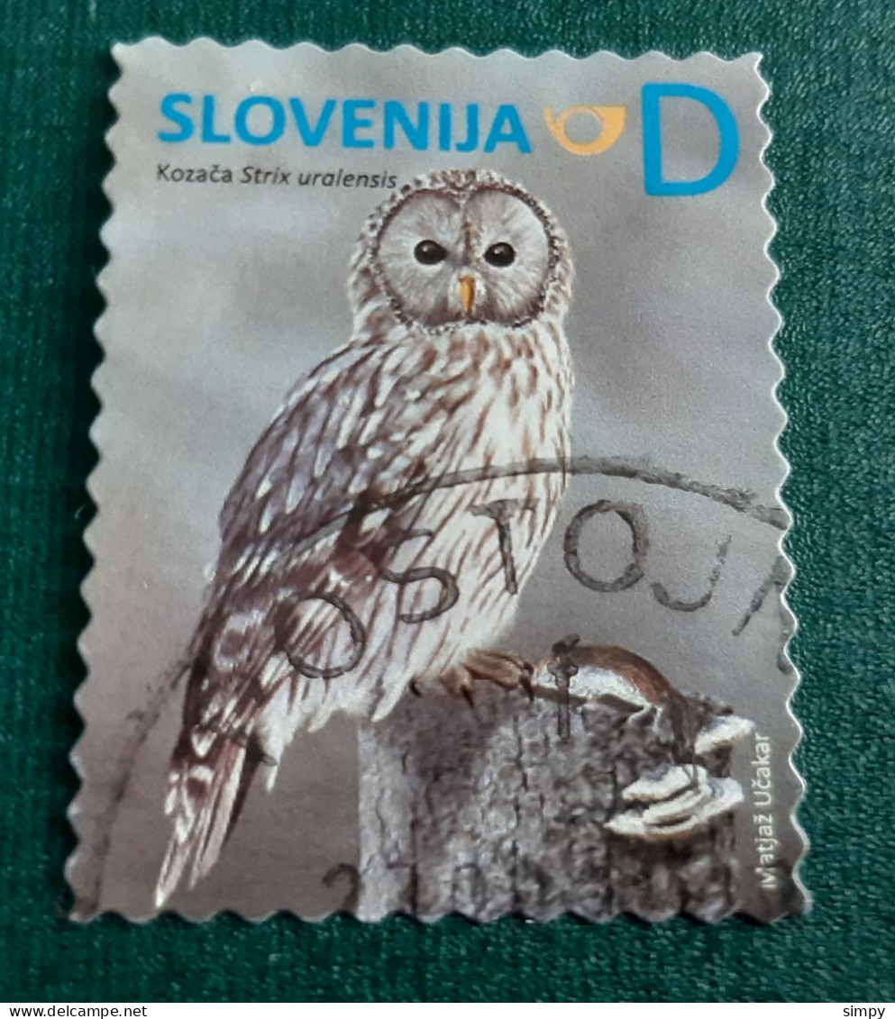 SLOVENIA Bird Owl  Used Stamp - Eslovenia