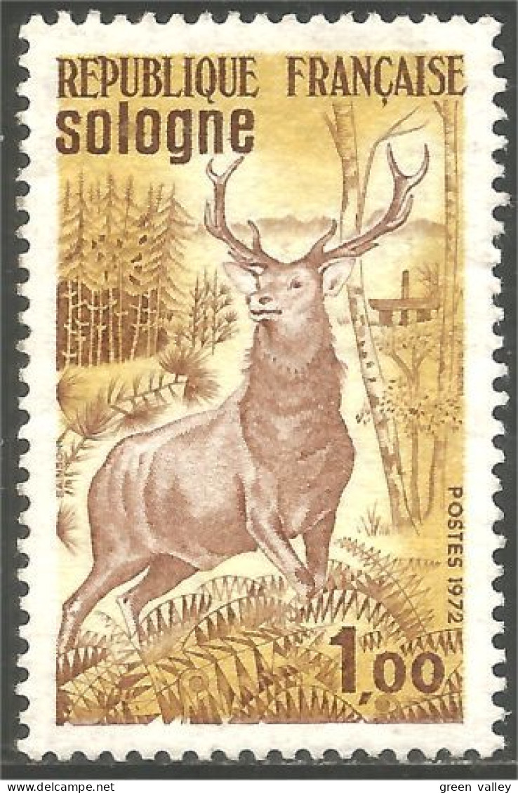 347 France Yv 1725 Sologne Chevreuil Cerf Derr Hirsch Cervo MNH ** Neuf SC (1725-1c) - Selvaggina