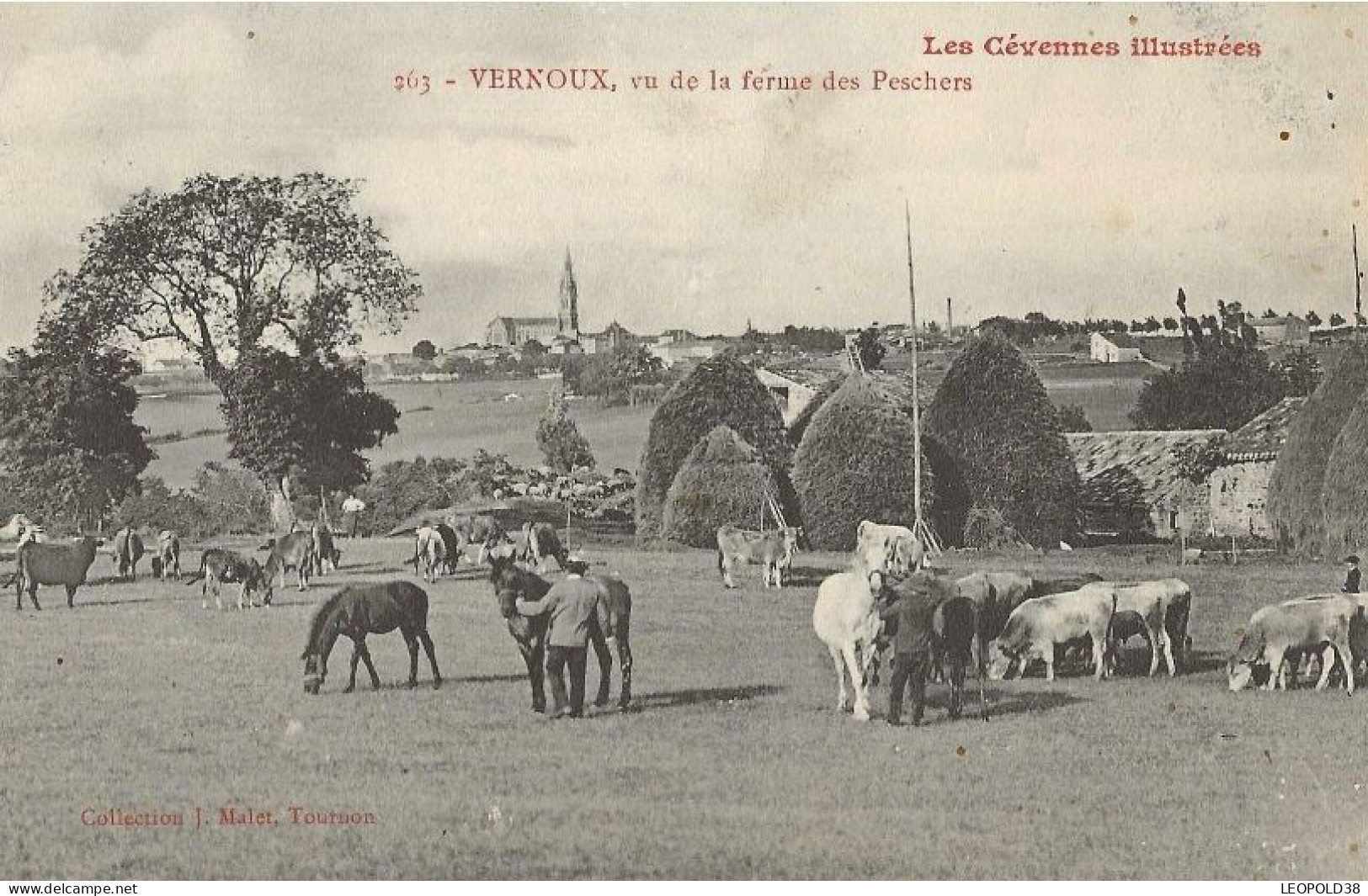 VERNOUX Vue De La Ferme Des Peschers - Vernoux