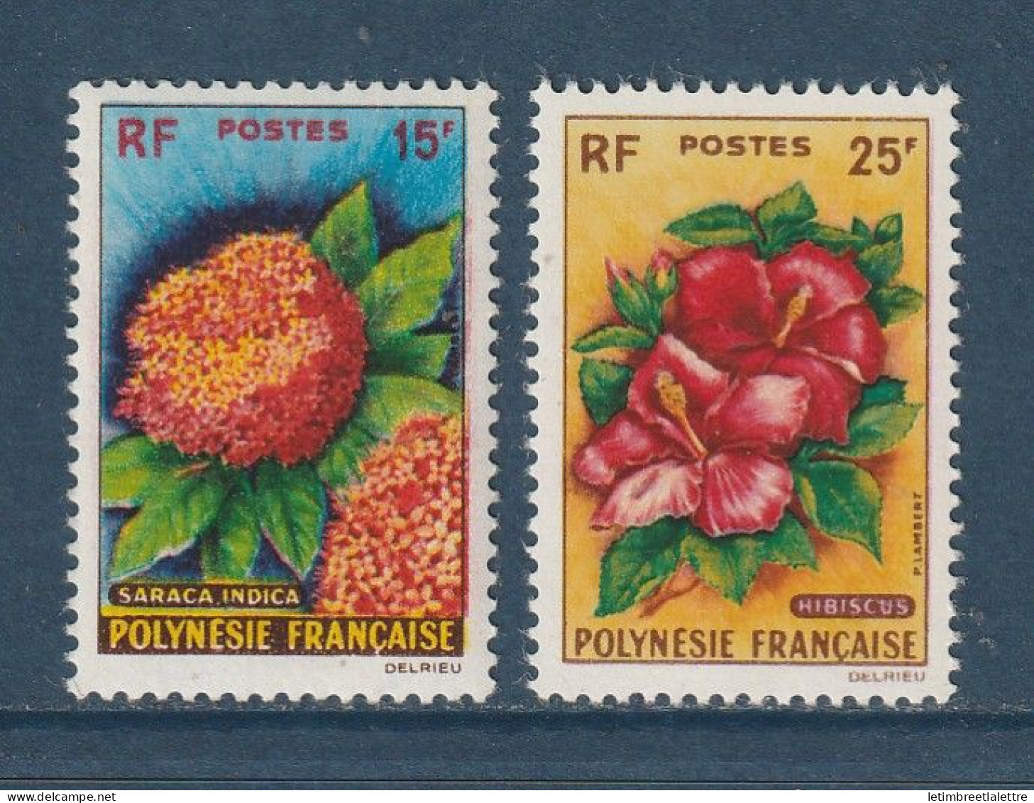 Polynésie - YT N° 15 Et 16 ** - Neuf Sans Charnière - 1962 - Nuevos