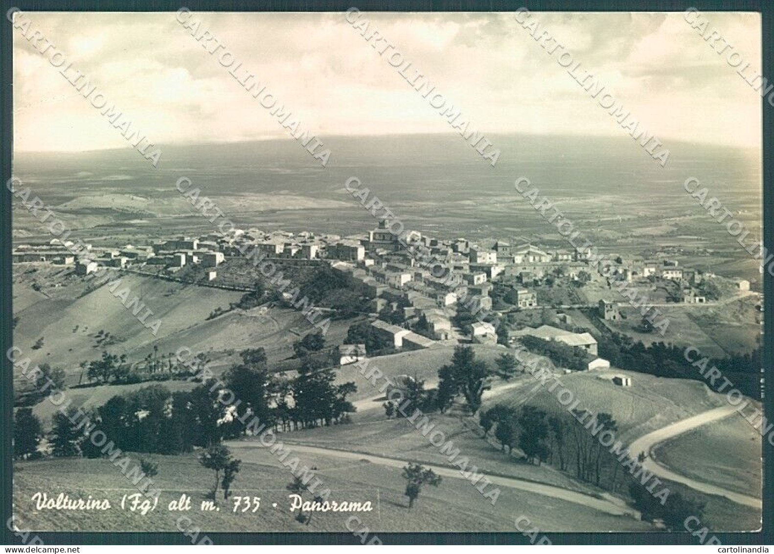 Foggia Volturino Foto FG Cartolina JK4131 - Foggia