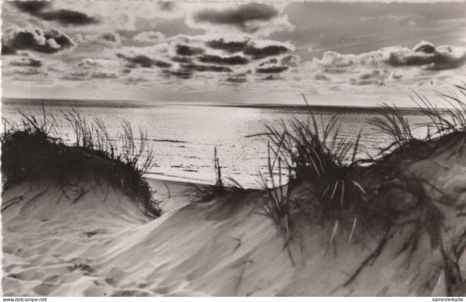 70462 - St. Peter-Ording - Dünen - 1960 - St. Peter-Ording