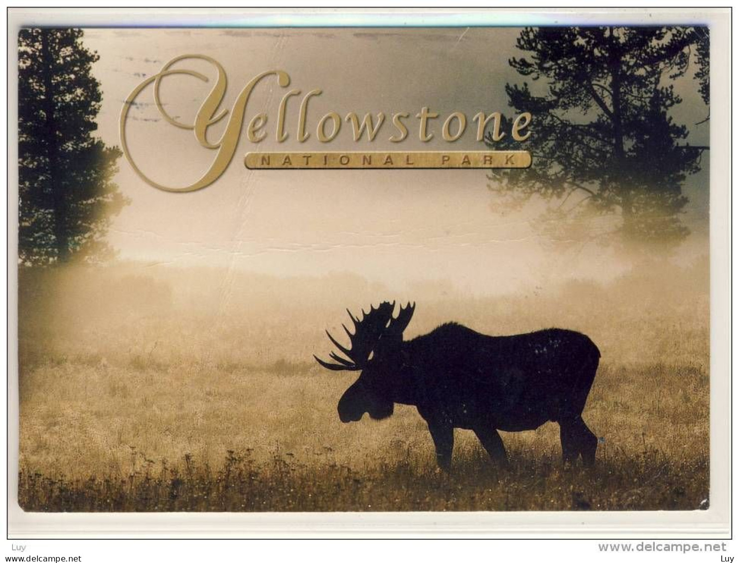 MOOSE, ELCH  - In The YELLOWSTONE National Park, Nice Stamp - Yellowstone