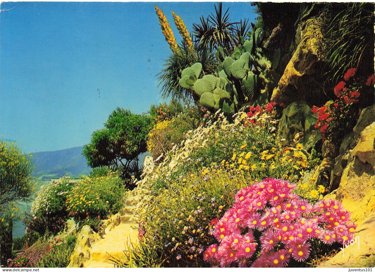 CPSM Côte D'Azur-Jardin Fleuri-Timbre         L2837 - Provence-Alpes-Côte D'Azur