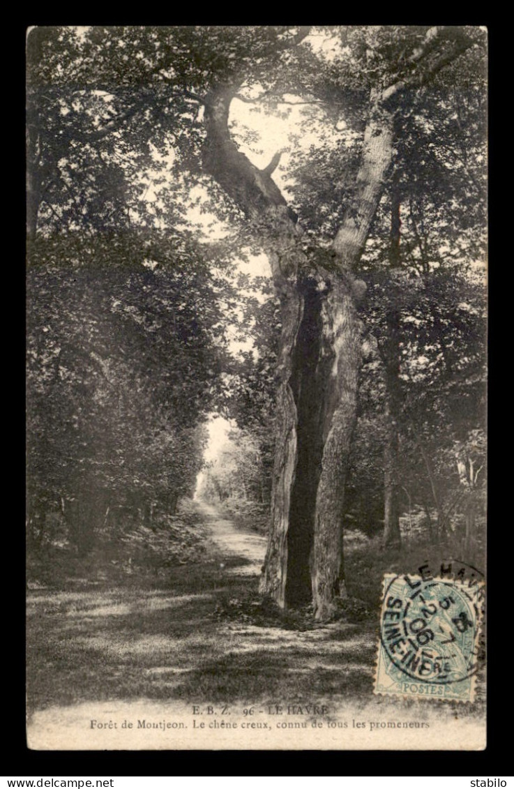 76 - LE HAVRE - FORET DE MONTJEON - LE CHENE CREUX - ARBRE - Forêt De Montgeon