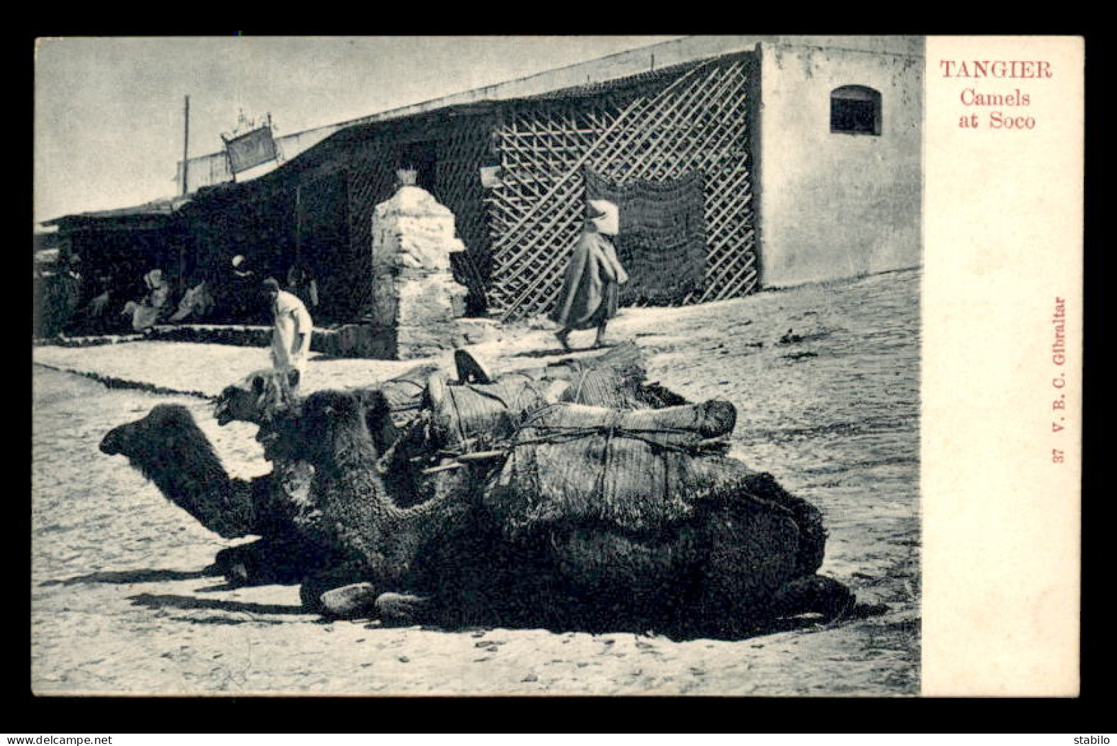 MAROC - TANGER - CAMELS AT SOCO - CHAMEAUX - EDITEUR V.B.C. GIBRALTAR - Tanger