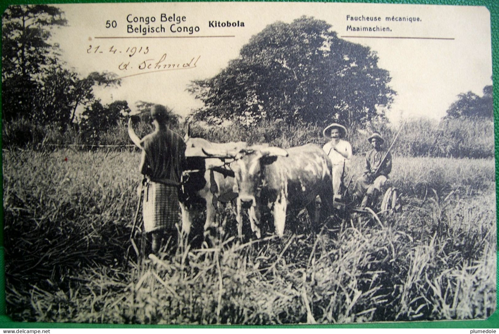 Cpa CONGO BELGE KITOBOLA Animée FAUCHEUSE MECANIQUE 1913  Attelage Boeufs ,ENTIER POSTAL 10 C , PAYSANS - Teams