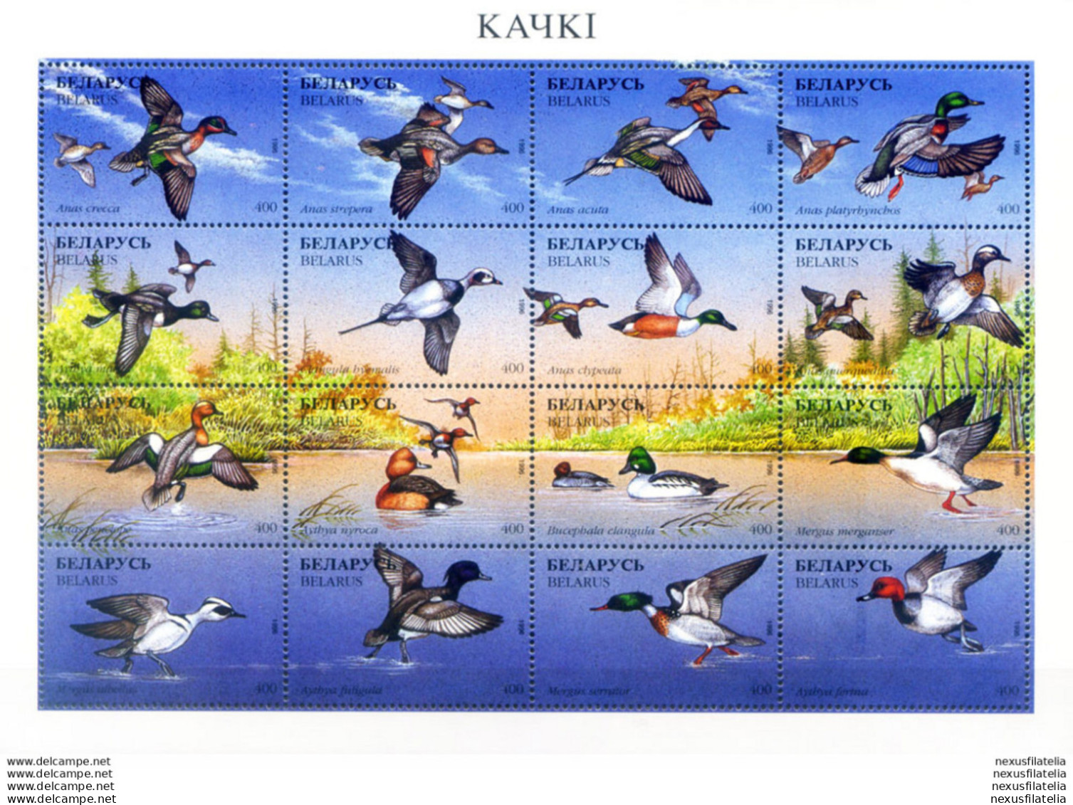 Fauna. Uccelli 1996. - Belarus