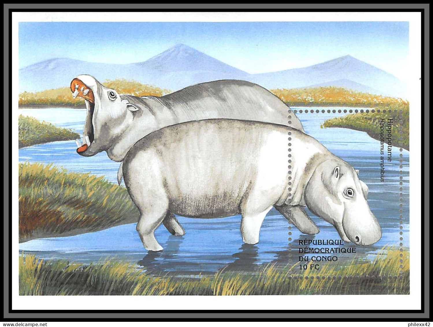80928 Congo Mi BF N°201 Hippopotames Hippopotamus Hippopotame TB Neuf ** MNH Animaux Animals 2000 Cote 10 Euros - Mint/hinged