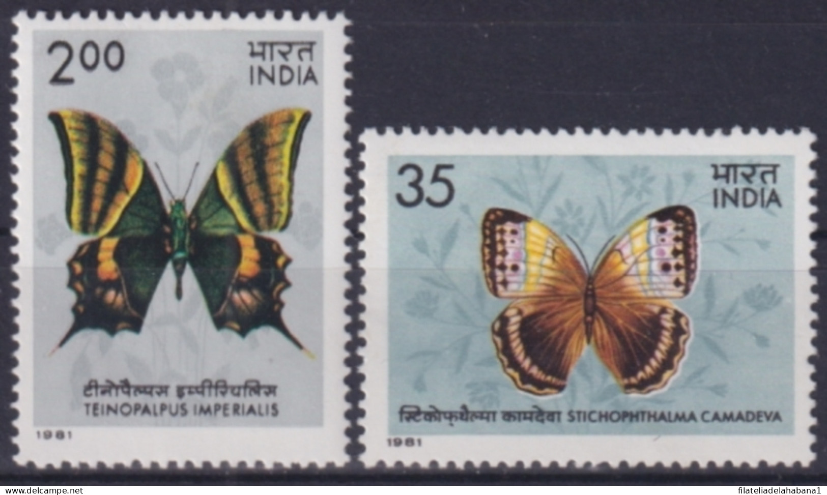 F-EX49005 INDIA MNH 1981 BUTTERFLIES MARIPOSAS PAPILLONS INSECTS. - Vlinders