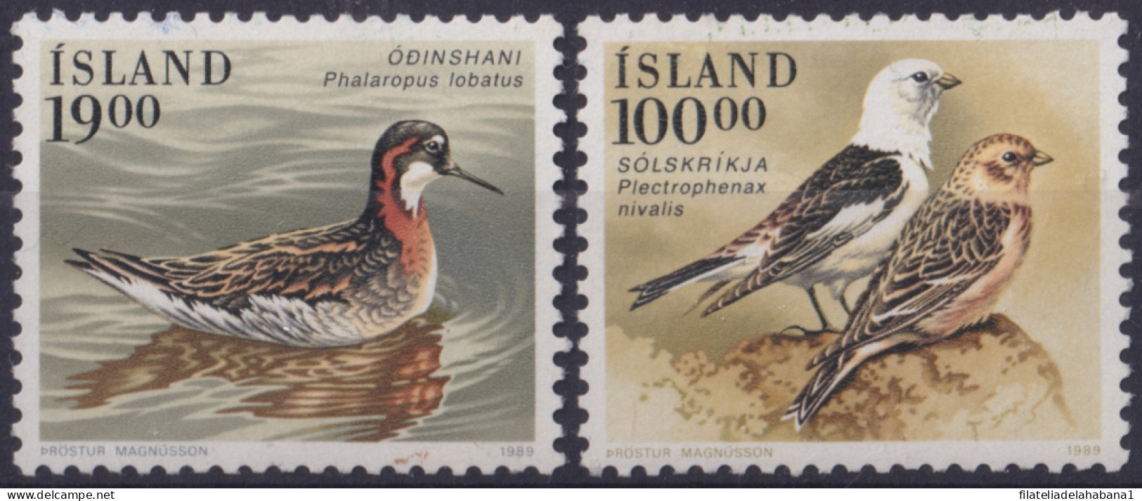 F-EX49237 ICELAND ISLAND MNH 1989 BIRD AVES PAJAROS VOGEL OISEAUX.  - Verzamelingen, Voorwerpen & Reeksen