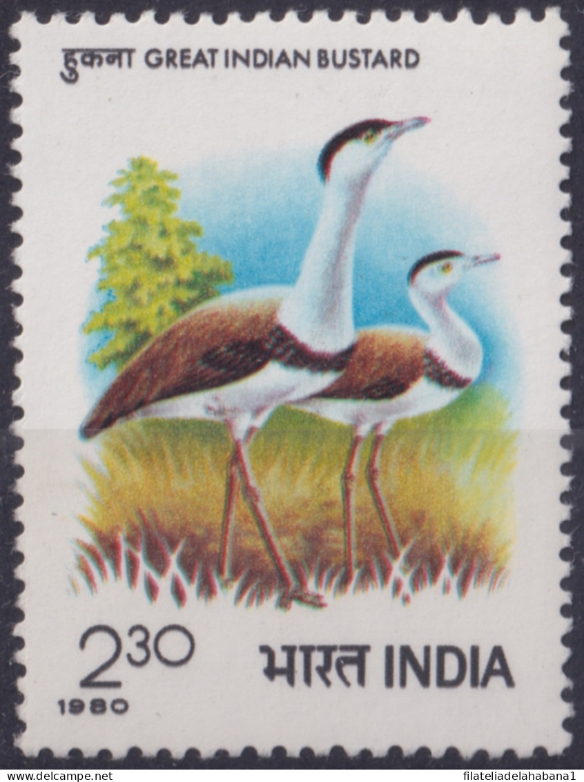 F-EX49241 INDIA MNH 1980 BUSTARD BIRD AVES PAJAROS VOGEL OISEAUX.  - Cranes And Other Gruiformes