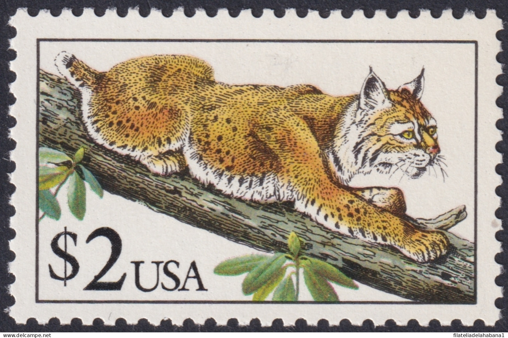 F-EX49251 US USA MNH 2$ LYNX FAUNA FELINE LINCE.  - Roofkatten