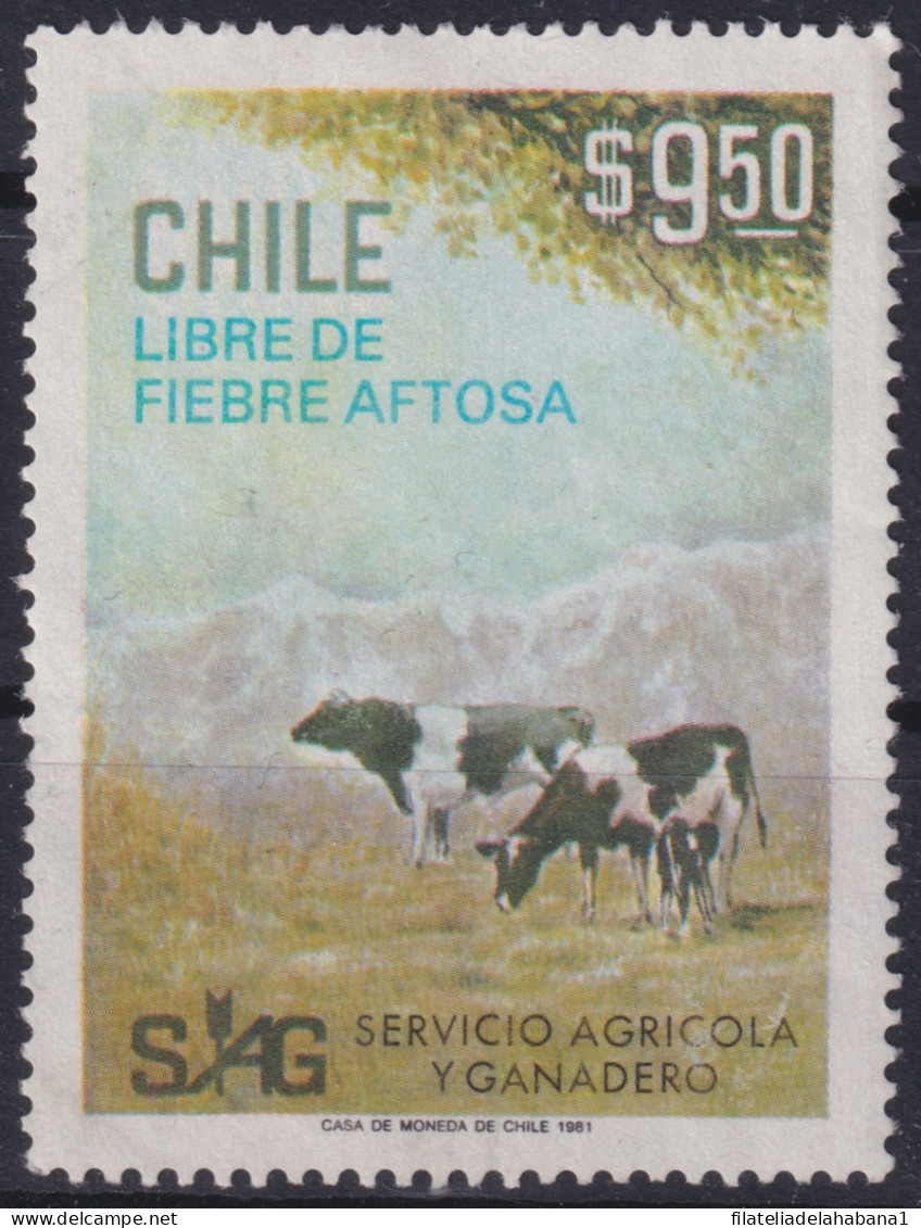 F-EX49252 CHILE MNH 1981 COW LIBRE DE FIEBRE AFTOSA.  - Mucche