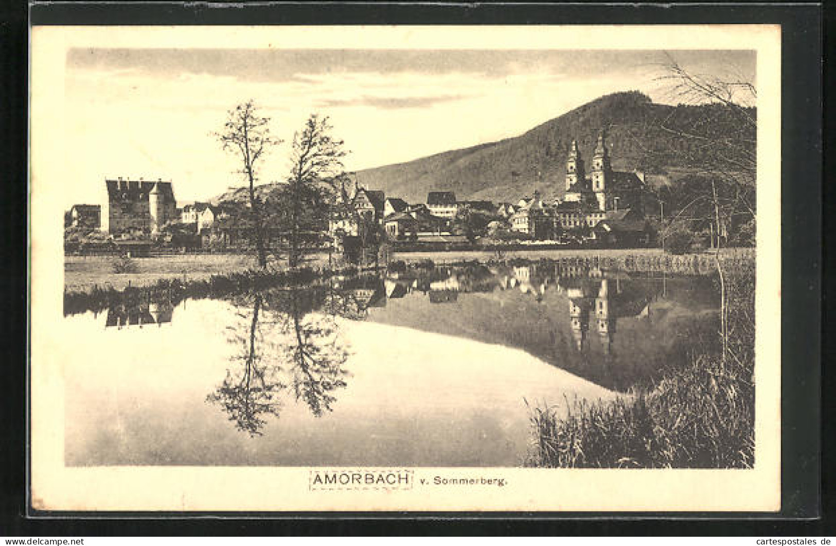 AK Amorbach, Blick über Das Wasser Auf Den Ort  - Amorbach