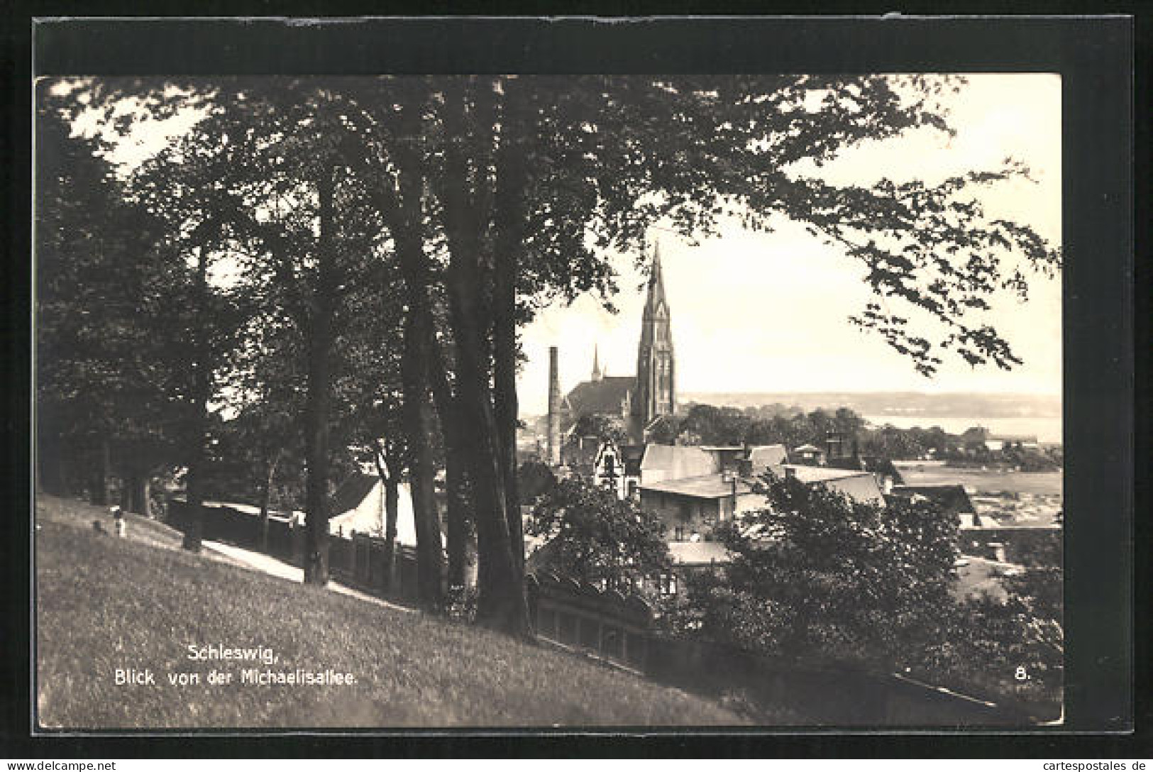 AK Schleswig, Blick Von Der Michaelisallee  - Schleswig