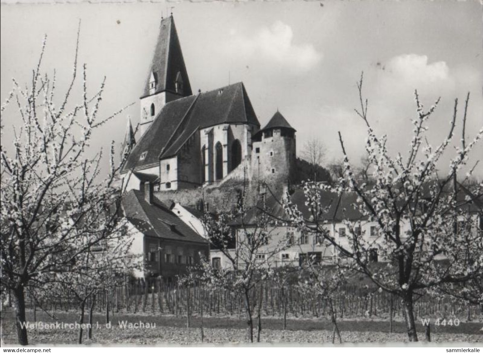 67476 - Österreich - Weissenkirchen - Ca. 1965 - Krems An Der Donau