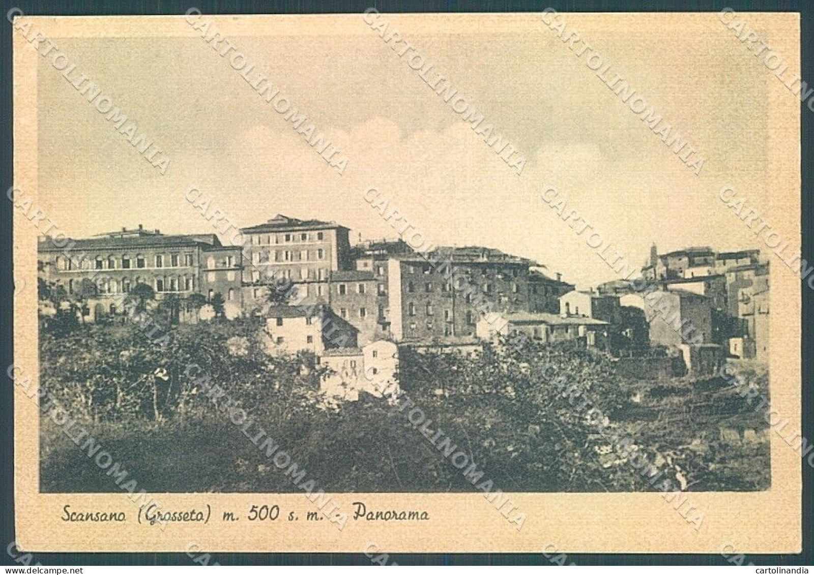 Grosseto Scansano PIEGA ANGOLO FG Cartolina JK4612 - Grosseto