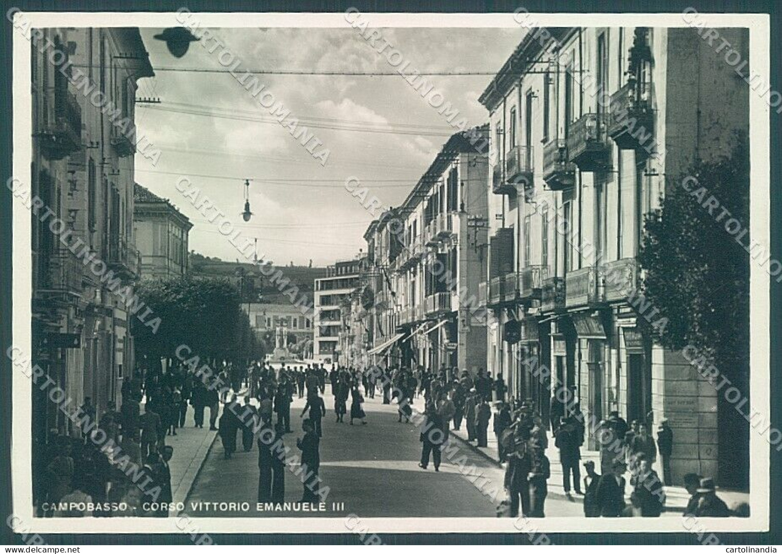 Campobasso Città Corso Vittorio Emanuele III Foto FG Cartolina JK4123 - Campobasso