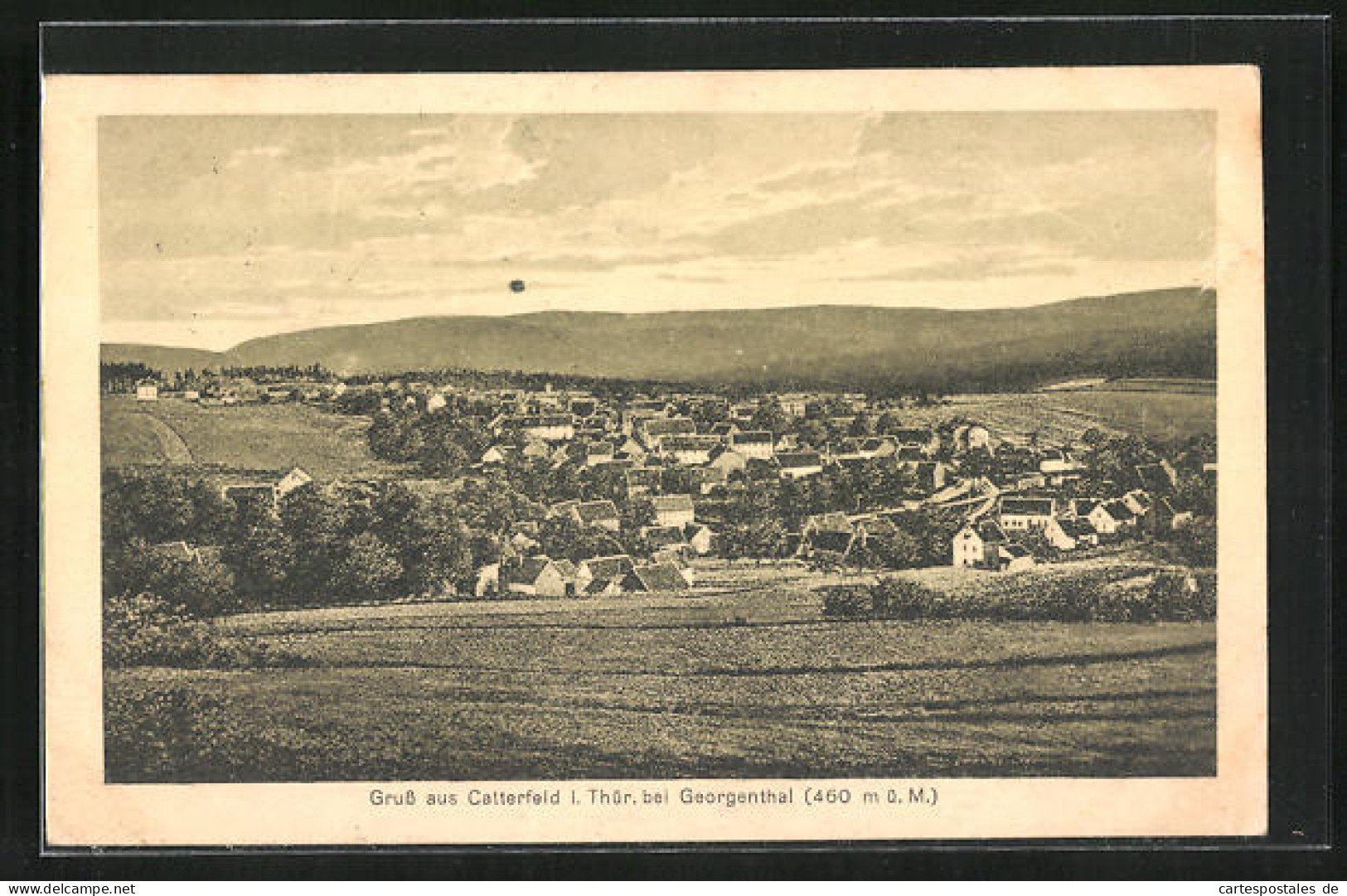 AK Catterfeld B. Georgenthal, Panorama Mit Hügellandschaft  - Georgenthal