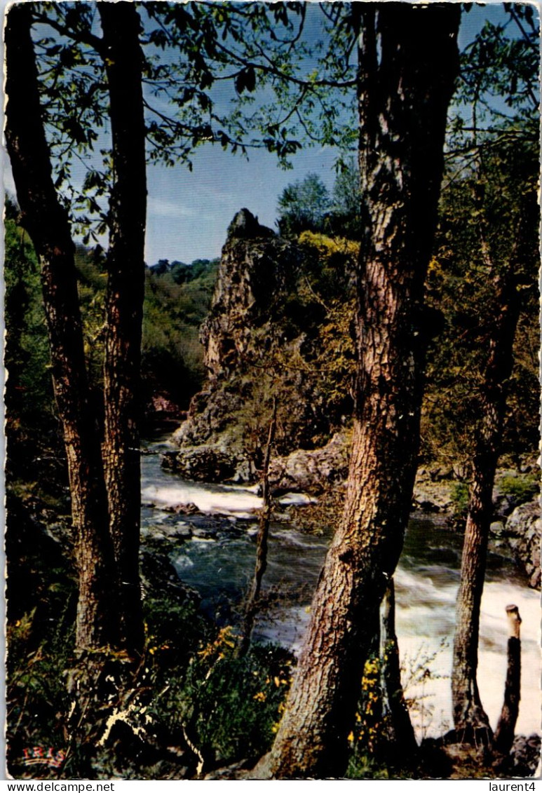 11-4-2024 (1 Z 38) France - Gorges De L'Auvézère (et Arbres) - Alberi