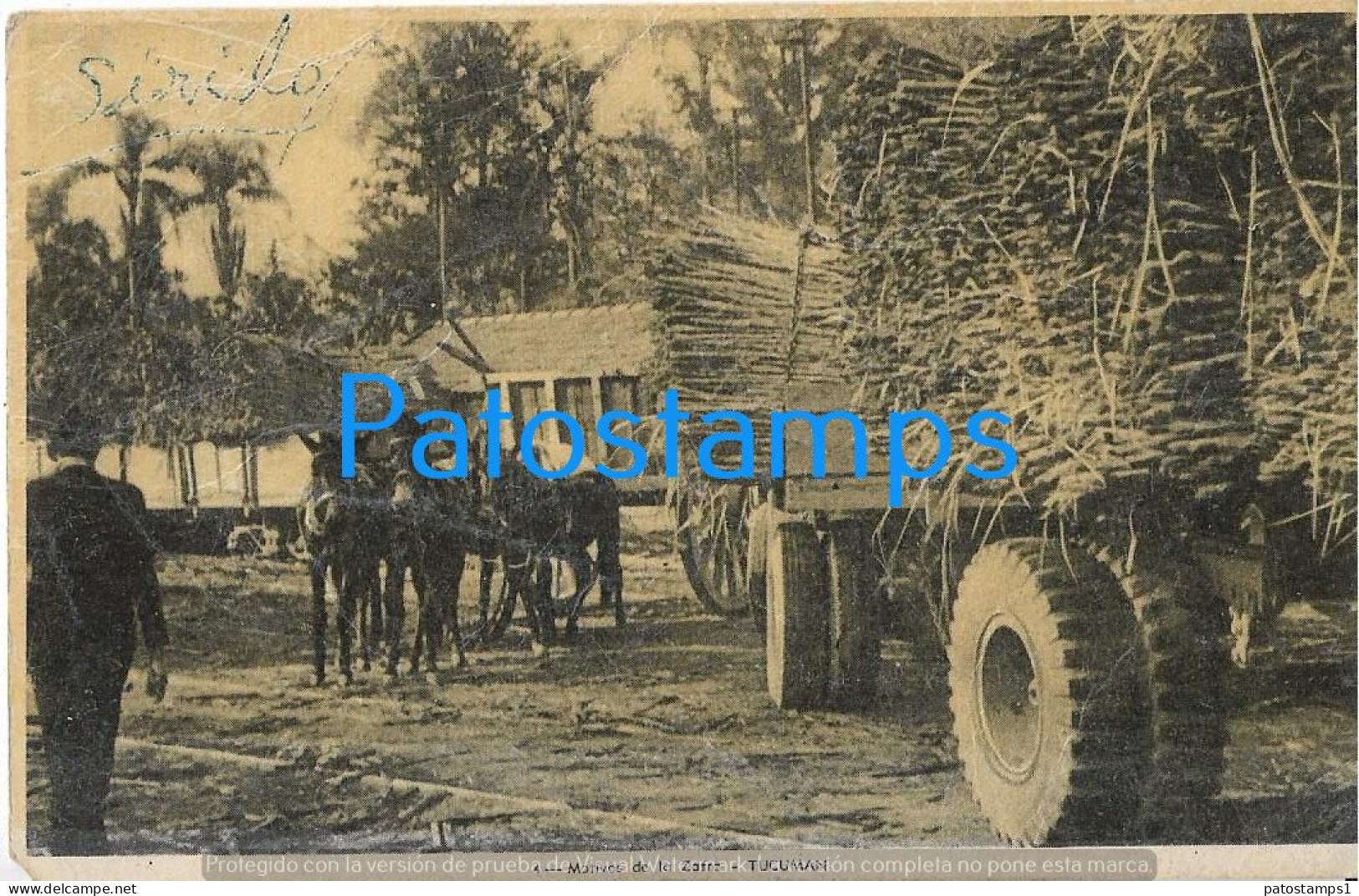 226750 ARGENTINA TUCUMAN MOTIVOS DE LA ZAFRA DAMAGED POSTAL POSTCARD - Argentinien