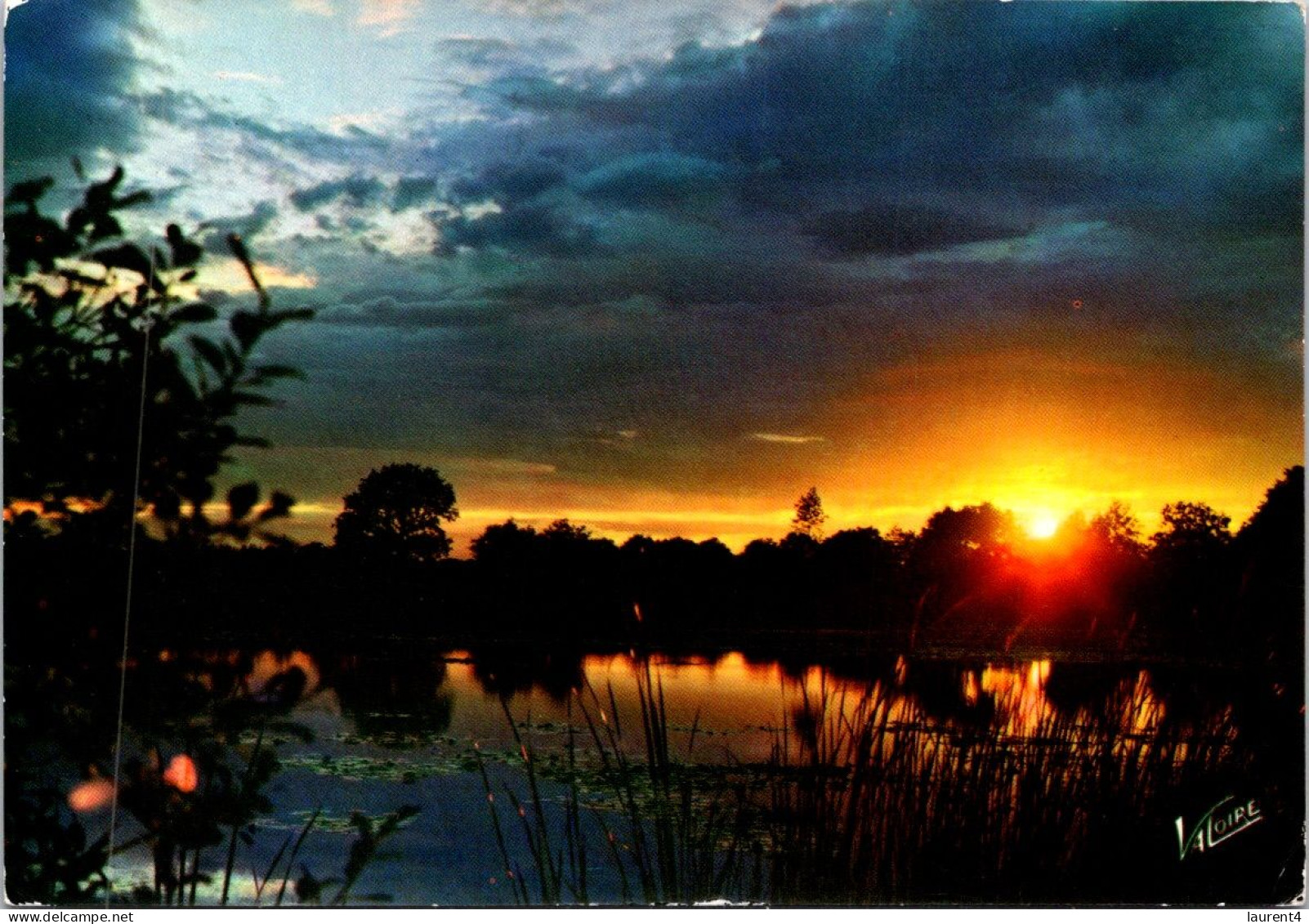 11-4-2024 (1 Z 40) France - En Sologne (posted 1970) - Centre-Val De Loire