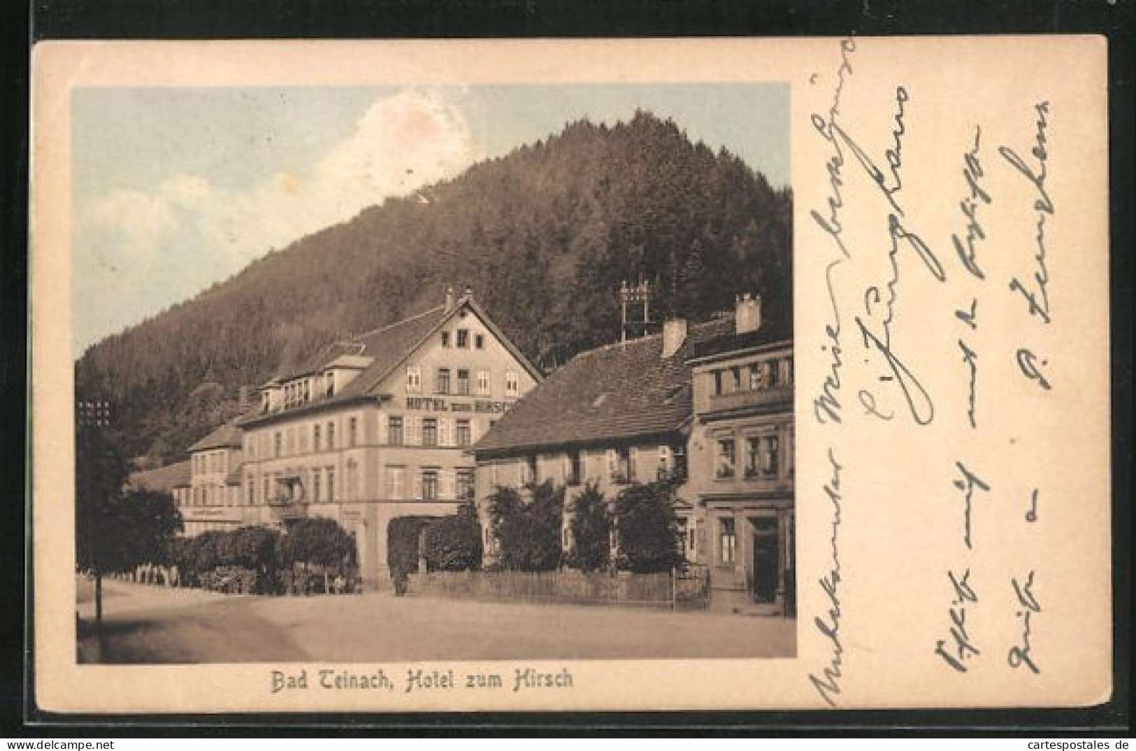 AK Bad Teinach, Hotel Zum Hirsch Mit Strassenpartie  - Bad Teinach