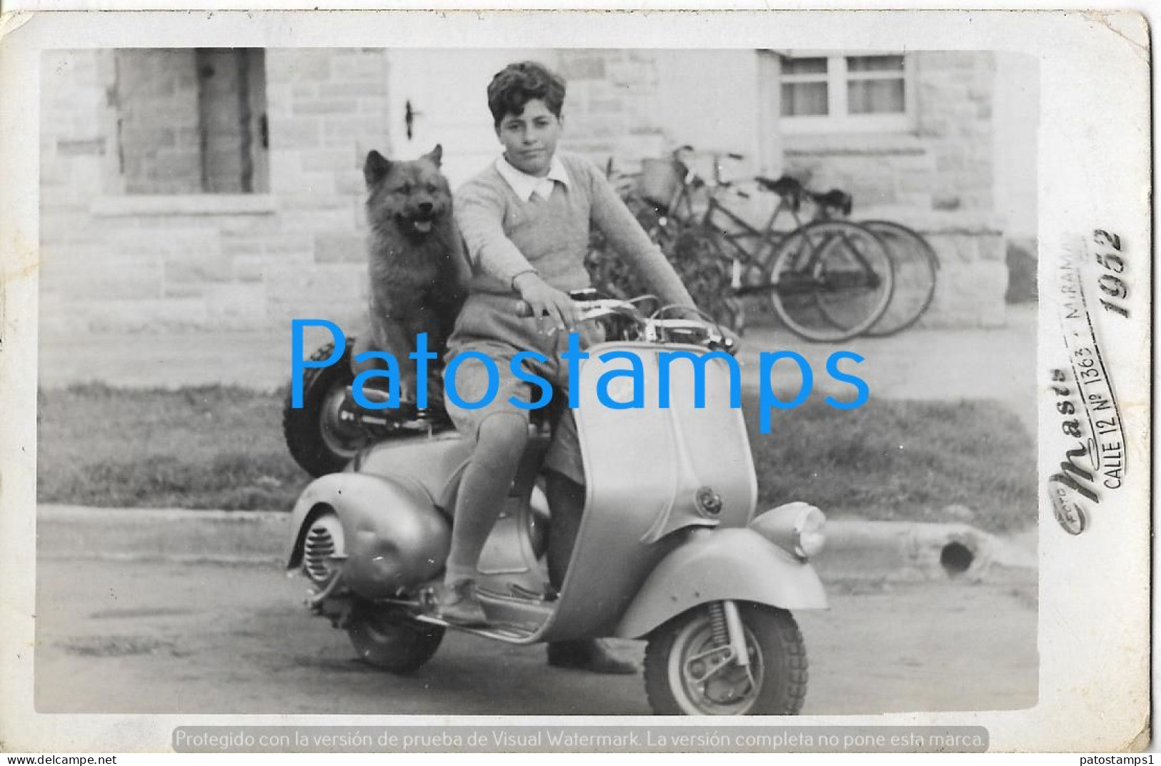 226784 ARGENTINA BUENOS AIRES MIRAMAR COSTUMES WOMAN AND DOG IN MOTORCYCLE AÑO 1952 PHOTO NO POSTAL POSTCARD - Argentinien