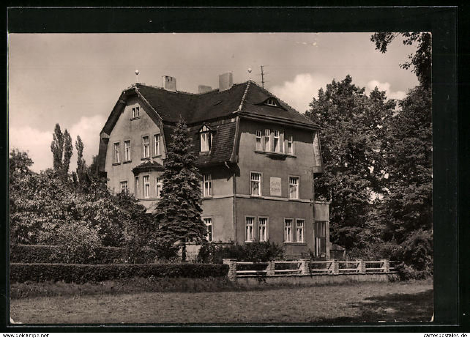 AK Bad Schmiedeberg /Dübener Heide, Parkville Charlotte  - Bad Schmiedeberg